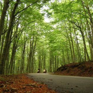 Bed and Breakfast Antica Dimora Bagnore Esterno foto